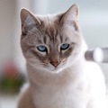 Egor_khv