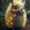 user_photo
