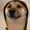 user_photo