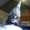 user_photo