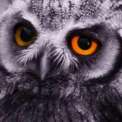 Капелька_Воды