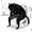 user_photo