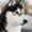 user_photo