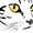 user_photo