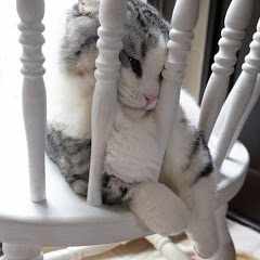 Ашот_Геворгян