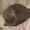 user_photo