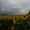 user_photo