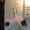 user_photo
