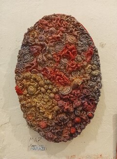 фцапулеисч