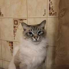 Кирилл_Сидоров