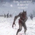 arkadyexp