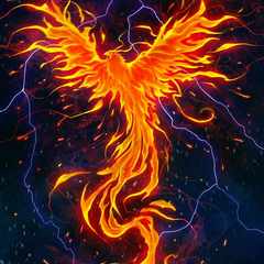 PhoeniX159