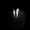 user_photo