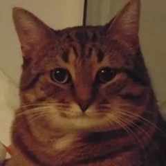 ИванЭванов