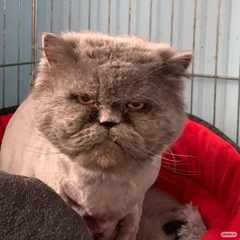 Андрей_КузьминWPp