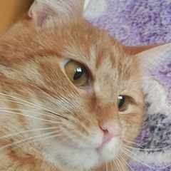 Ярослав_Масловский