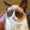 user_photo