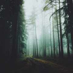 Кирилл_Чикуров