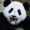 user_photo