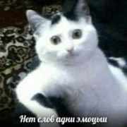 Рушан_Садыков