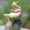 user_photo