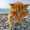 user_photo