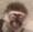 user_photo