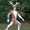 user_photo