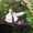 user_photo