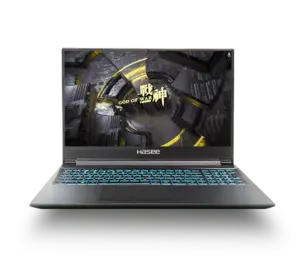 Ноутбук Hasee Z8-CA7NS 15,6"' 16+512 Гб