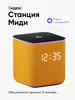 Умная колонка Станция Миди с Алисой (с макс. ВБ кошельком и подпиской) 