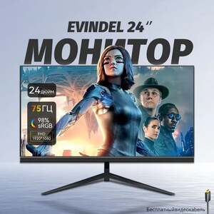 Монитор 24" EVINDEL 24-1080P-75-ZHA (IPS, FullHD, 75 Гц) с картой Ozon