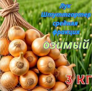 Лук севок озимый сорт Штутгартер Ризен (с Озон картой) 