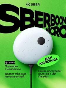 Умная колонка SberBoom Micro (с картой OZON)