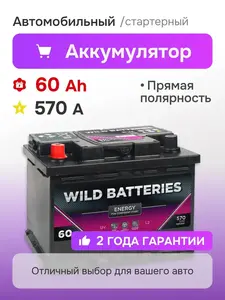 Аккумулятор автомобильный WILD BATTERIES 60 Ач 570 A прямая полярность (с ВБ кошельком)