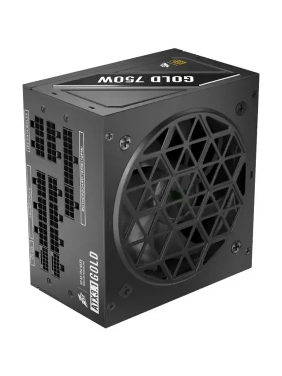 Блок питания 1stPlayer NGDP 750W, 80+Gold, ATX3.1 (с максимальным кошельком)