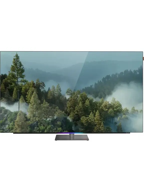 Телевизор OLED 55" Skyworth 55SXF9850 Smart BM Series /4K Ultra HD (с ВБ кошельком)
