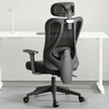 Офисное компьютерное кресло Xiaomi HBADA Ergonomic Computer Office Chair P1-Standard Model-Fixed Armrest