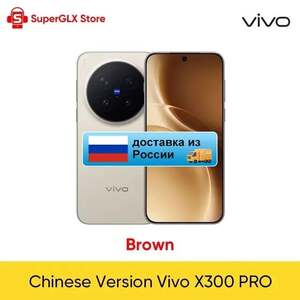 Смартфон Vivo X300 Pro CN 16/512 Гб (доставка из РФ)